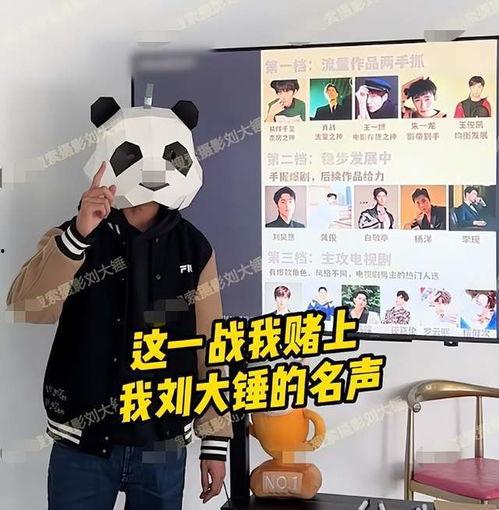 大锤爆料最新视频大全集,揭秘幕后故事,带你领略精彩瞬间