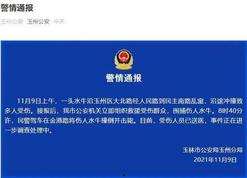 广西最新爆料新闻视频,神秘事件视频引发热议,真相即将揭晓